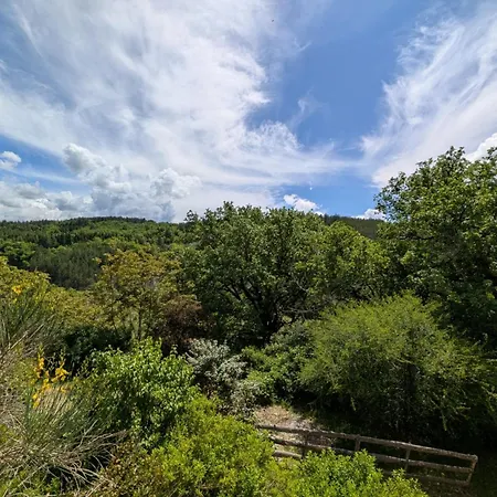 Campagne Vallauris Bed & Breakfast